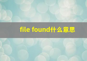 file found什么意思